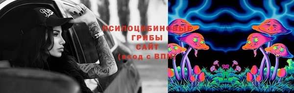 тгк Михайловка