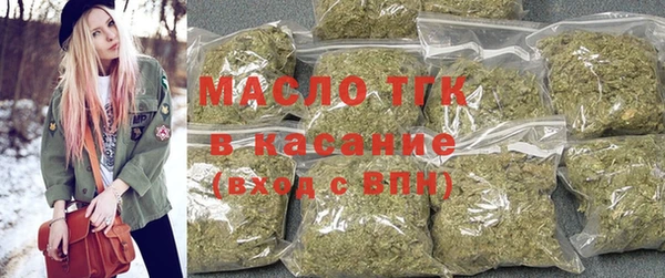 гашик Михайлов