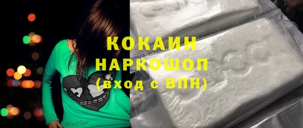 гашик Михайлов