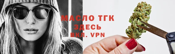 гашик Михайлов