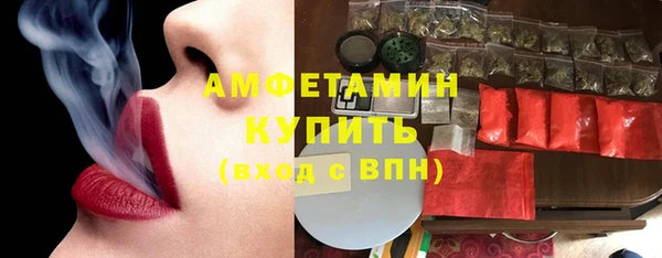 гашик Михайлов