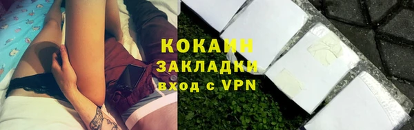 гашик Михайлов