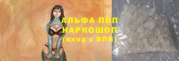 гашик Михайлов