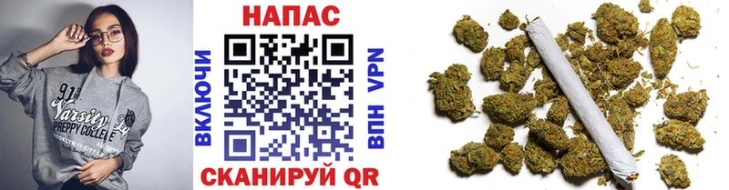 Канабис SATIVA & INDICA  наркотики  Оса 